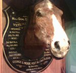 Old Baldy as he appears at his current home in Philadelphia.