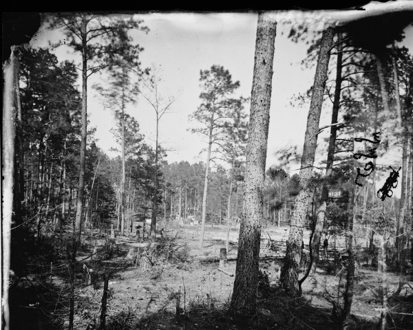 Timothy O'Sulivan took this image, which he identified as "Cold Harbor, Virginia. Camp in the woods," on June 6, 1864. The landscape looks much like this today  (Library of Congress).
